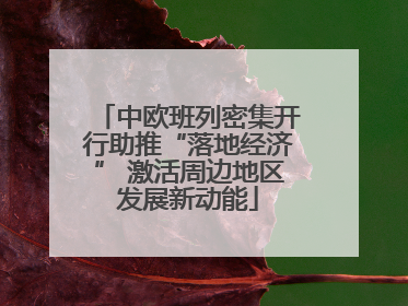中欧班列密集开行助推“落地经济” 激活周边地区发展新动能