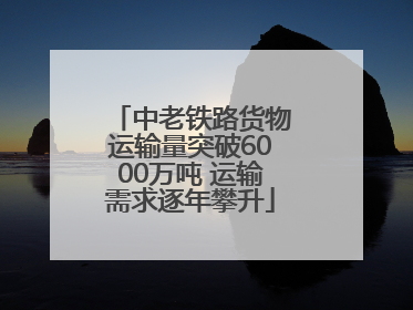中老铁路货物运输量突破6000万吨 运输需求逐年攀升