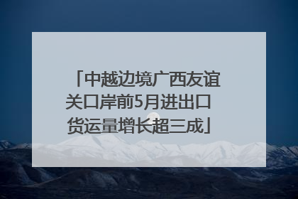 中越边境广西友谊关口岸前5月进出口货运量增长超三成