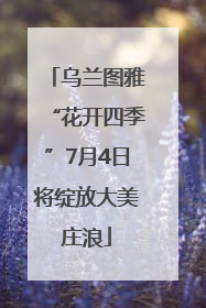 乌兰图雅“花开四季”7月4日将绽放大美庄浪