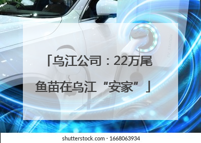 乌江公司：22万尾鱼苗在乌江“安家”
