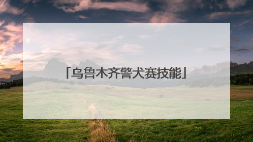 乌鲁木齐警犬赛技能