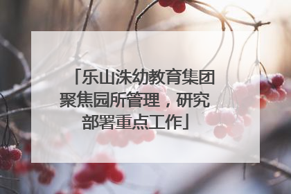乐山洙幼教育集团聚焦园所管理，研究部署重点工作