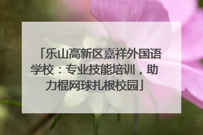 乐山高新区嘉祥外国语学校：专业技能培训，助力棍网球扎根校园