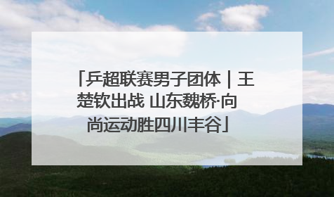 乒超联赛男子团体｜王楚钦出战 山东魏桥·向尚运动胜四川丰谷