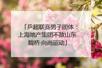 乒超联赛男子团体：上海地产集团不敌山东魏桥·向尚运动