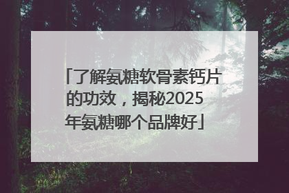 了解氨糖软骨素钙片的功效，揭秘2025年氨糖哪个品牌好