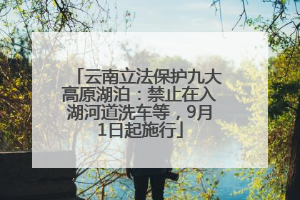 云南立法保护九大高原湖泊：禁止在入湖河道洗车等，9月1日起施行