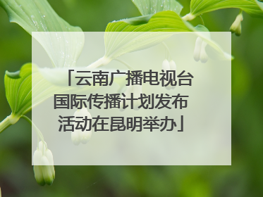 云南广播电视台国际传播计划发布活动在昆明举办