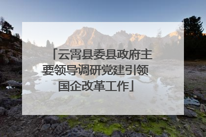 云霄县委县政府主要领导调研党建引领国企改革工作