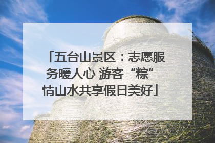 五台山景区：志愿服务暖人心 游客“粽”情山水共享假日美好