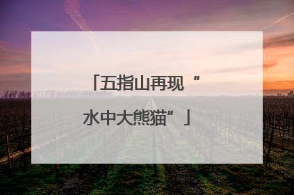 五指山再现“水中大熊猫”