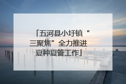 五河县小圩镇“三聚焦”全力推进夏种夏管工作
