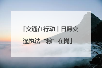 交通在行动丨日照交通执法“粽”在岗