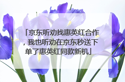 京东听劝找惠英红合作，我也听劝在京东秒送下单了惠英红同款新机