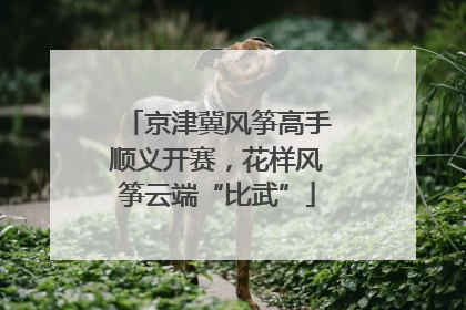 京津冀风筝高手顺义开赛，花样风筝云端“比武”