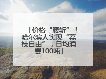 价格“腰斩”！哈尔滨人实现“荔枝自由”，日均消费100吨