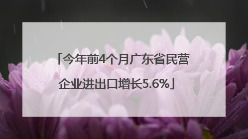 今年前4个月广东省民营企业进出口增长5.6%
