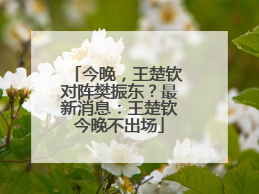 今晚，王楚钦对阵樊振东？最新消息：王楚钦今晚不出场