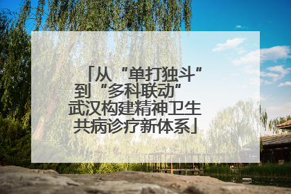 从“单打独斗”到“多科联动” 武汉构建精神卫生共病诊疗新体系