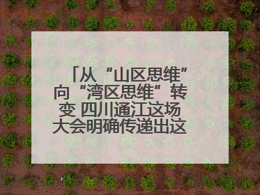 从“山区思维”向“湾区思维”转变 四川通江这场大会明确传递出这些信号