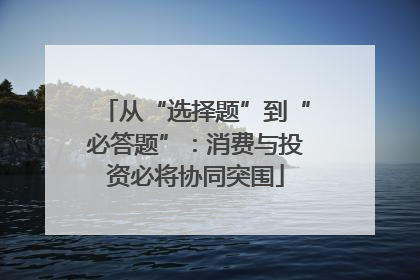 从“选择题”到“必答题”：消费与投资必将协同突围