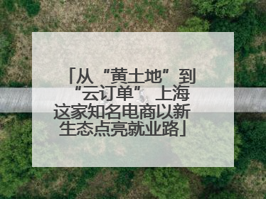 从“黄土地”到“云订单” 上海这家知名电商以新生态点亮就业路