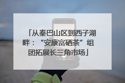 从秦巴山区到西子湖畔：“安康富硒茶”组团拓展长三角市场