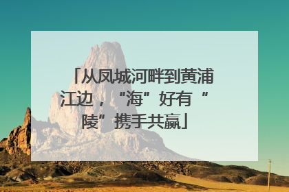 从凤城河畔到黄浦江边，“海”好有“陵”携手共赢