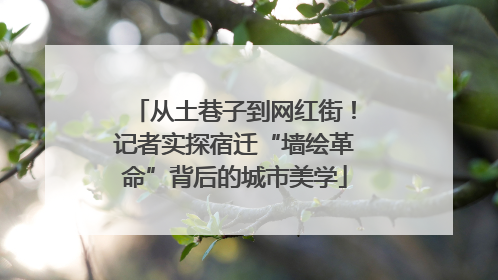 从土巷子到网红街！记者实探宿迁“墙绘革命”背后的城市美学