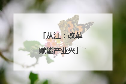 从江：改革赋能产业兴