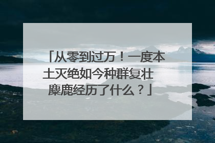 从零到过万！一度本土灭绝如今种群复壮 麋鹿经历了什么？
