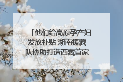 他们给高原孕产妇发放补贴 湖南援藏队协助打造西藏首家高原产儿协同中心