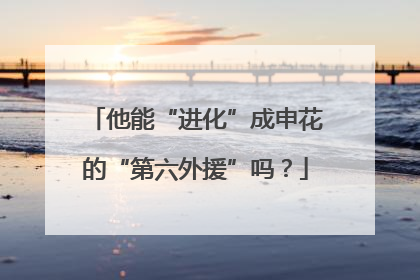 他能“进化”成申花的“第六外援”吗？
