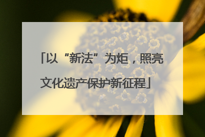 以“新法”为炬，照亮文化遗产保护新征程