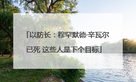 以防长：穆罕默德·辛瓦尔已死 这些人是下个目标