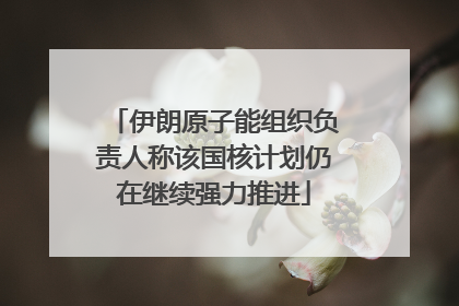 伊朗原子能组织负责人称该国核计划仍在继续强力推进