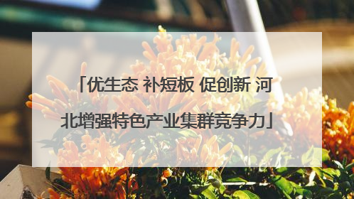 优生态 补短板 促创新 河北增强特色产业集群竞争力