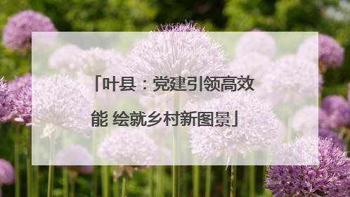 叶县：党建引领高效能 绘就乡村新图景