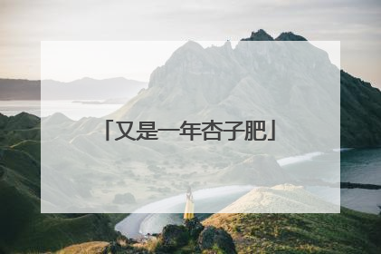 又是一年杏子肥