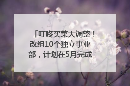 叮咚买菜大调整！改组10个独立事业部，计划在5月完成App端全面改版
