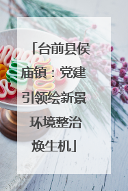 台前县侯庙镇：党建引领绘新景 环境整治焕生机