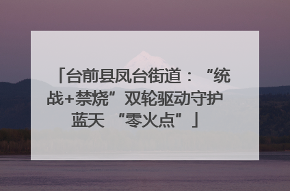 台前县凤台街道：“统战+禁烧”双轮驱动守护蓝天 “零火点”