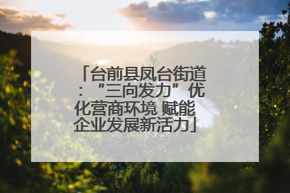 台前县凤台街道：“三向发力”优化营商环境 赋能企业发展新活力