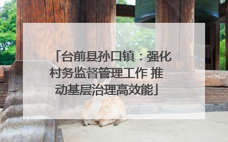 台前县孙口镇：强化村务监督管理工作 推动基层治理高效能