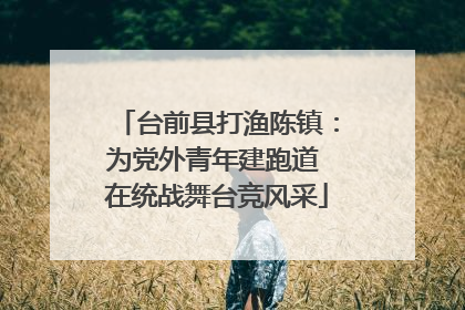 台前县打渔陈镇：为党外青年建跑道 在统战舞台竞风采
