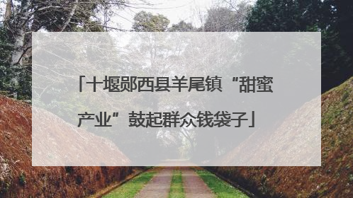 十堰郧西县羊尾镇“甜蜜产业”鼓起群众钱袋子