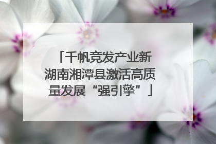 千帆竞发产业新 湖南湘潭县激活高质量发展“强引擎”