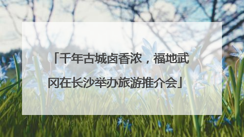 千年古城卤香浓，福地武冈在长沙举办旅游推介会