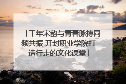 千年宋韵与青春脉搏同频共振 开封职业学院打造行走的文化课堂